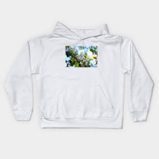 Spring is All Around in Southern California! Kids Hoodie